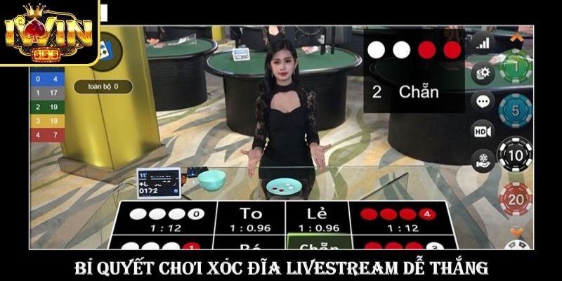 Các cửa cược dược vào mặt ngửa quân vị
